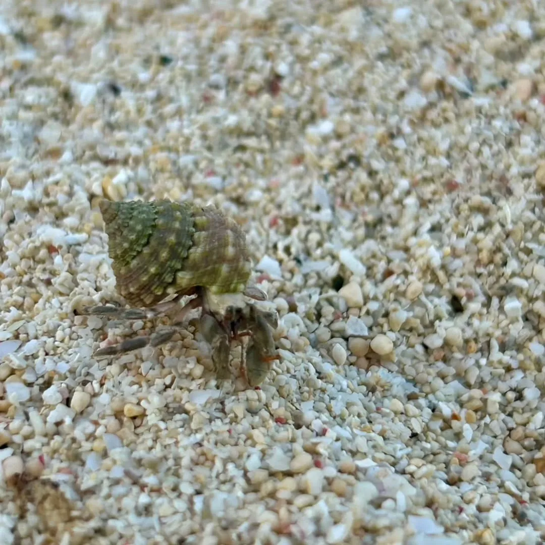 これから冬にかけても、やっぱり海はキレイです✨